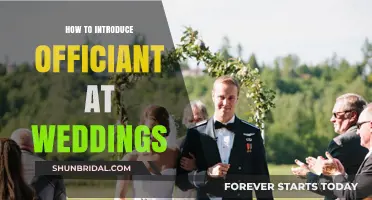 Mastering the Art of Introducing Your Wedding Officiant with Grace