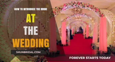 Elegant Bride Introduction Tips for a Memorable Wedding Entrance