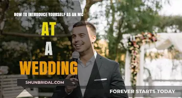 Mastering the Mic: A Guide to Introducing Yourself as a Wedding MC