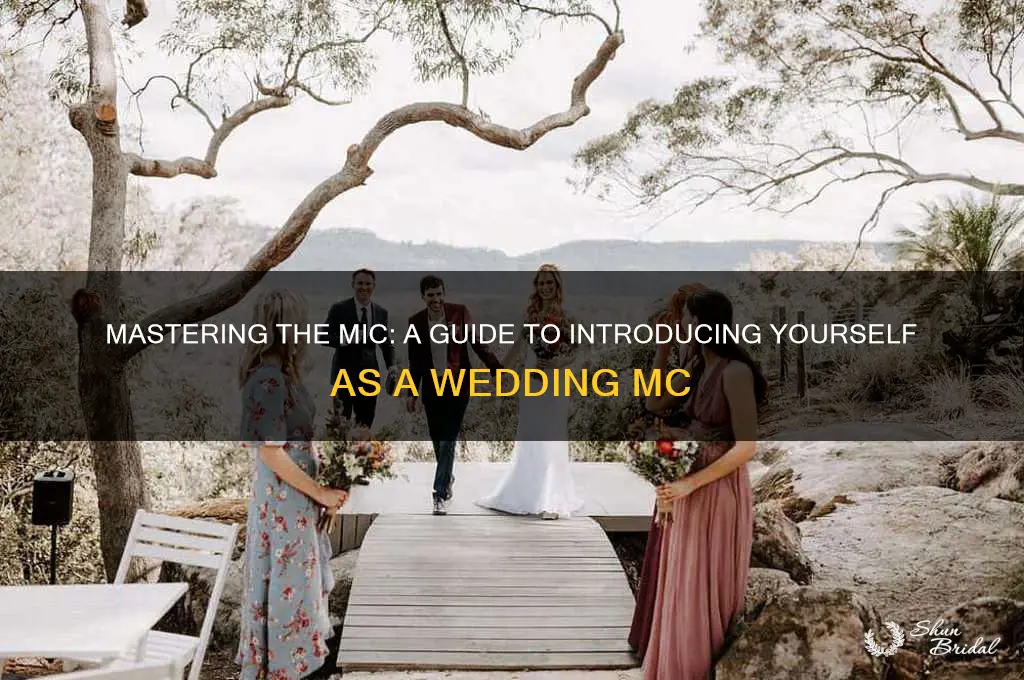 how to introduce yourself as an mc at a wedding