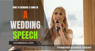 Incorporate Songs in Wedding Speeches: A Guide