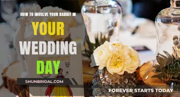 Hoppy Ever After: Creative Ways to Include Your Rabbit in Your Wedding