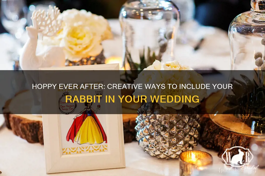 how to involve your rabbit in your wedding day
