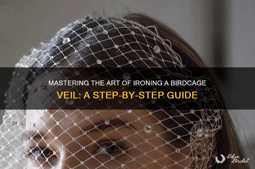 how to iron a birdcage veil