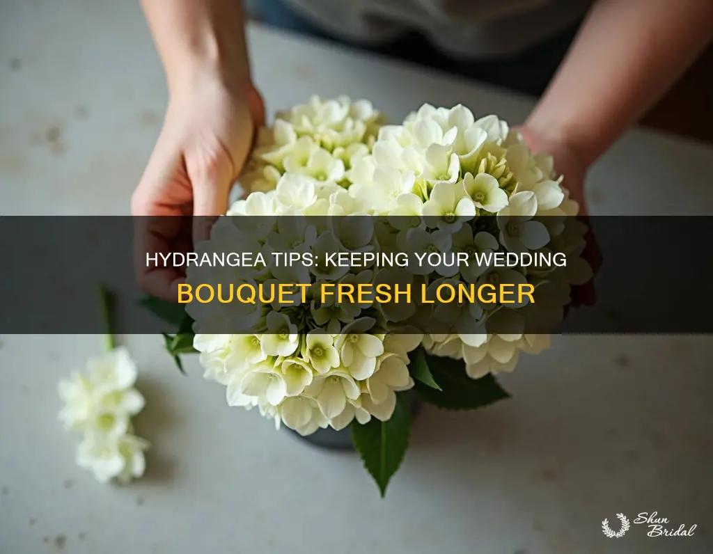 how to keek hydrangeas last longer for a wedding bouquet