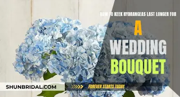 Hydrangeas for Weddings: Making Your Bouquet Last Longer
