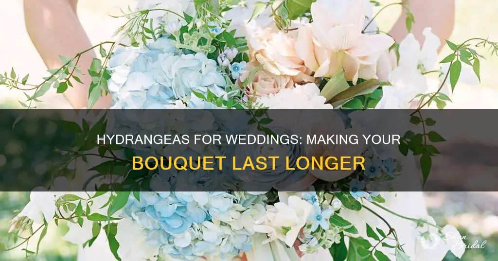 how to keek hydrangeas last longer for a wedding bouquet