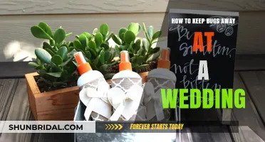 Bug-Free Bliss: Tips to Keep Pests Away on Your Wedding Day