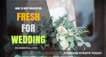 Preserving Eucalyptus Elegance: Tips for Fresh Wedding Decor All Day