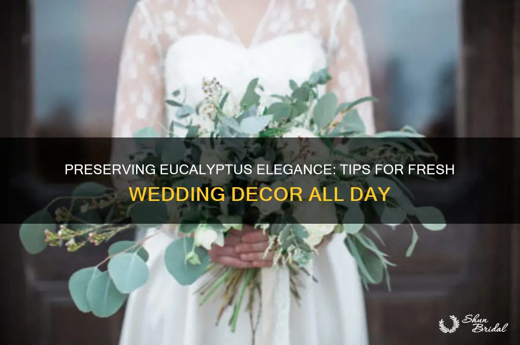 how to keep eucalyptus fresh for wedding