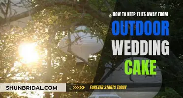 Keep Flies Away: Enjoy a Pest-Free Outdoor Wedding Cake