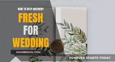 Guide to Keeping Wedding Greenery Fresh and Vibrant