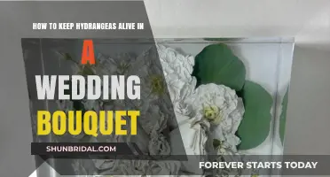 Preserving Hydrangeas: Tips for Long-Lasting Wedding Bouquets and Centerpieces