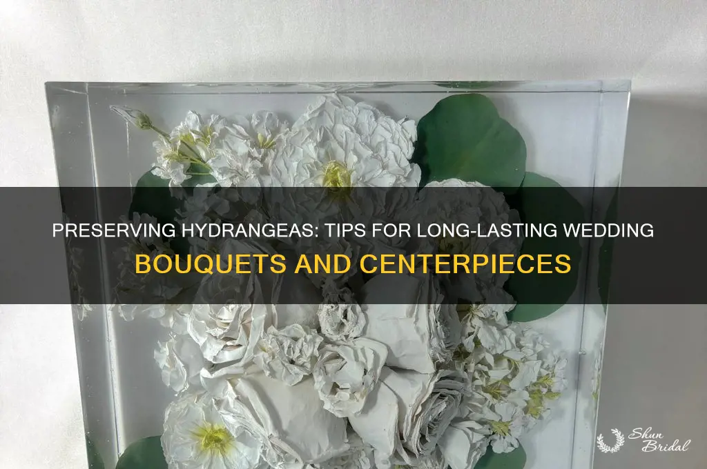 how to keep hydrangeas alive in a wedding bouquet