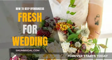 Hydrangeas for Weddings: Keeping Them Fresh and Vibrant