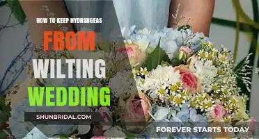Prevent Wedding Hydrangeas from Wilting: Essential Care Tips for Lasting Blooms