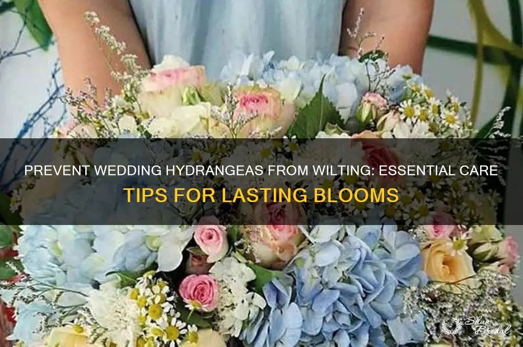 how to keep hydrangeas from wilting wedding