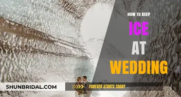 Chill Wedding Tips: Keeping Ice Lasting for Your Special Day
