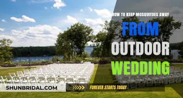 Mosquito-Free Outdoor Wedding: Tips to Keep Guests Comfortable and Bite-Free