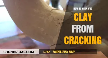 Preventing Cracks: Essential Tips for Keeping Wet Clay Intact