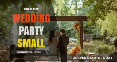 Intimate Celebrations: Tips for Hosting a Small, Memorable Wedding Party