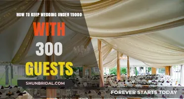Budget-Friendly Wedding Bliss: Hosting 300 Guests for Under $15,000
