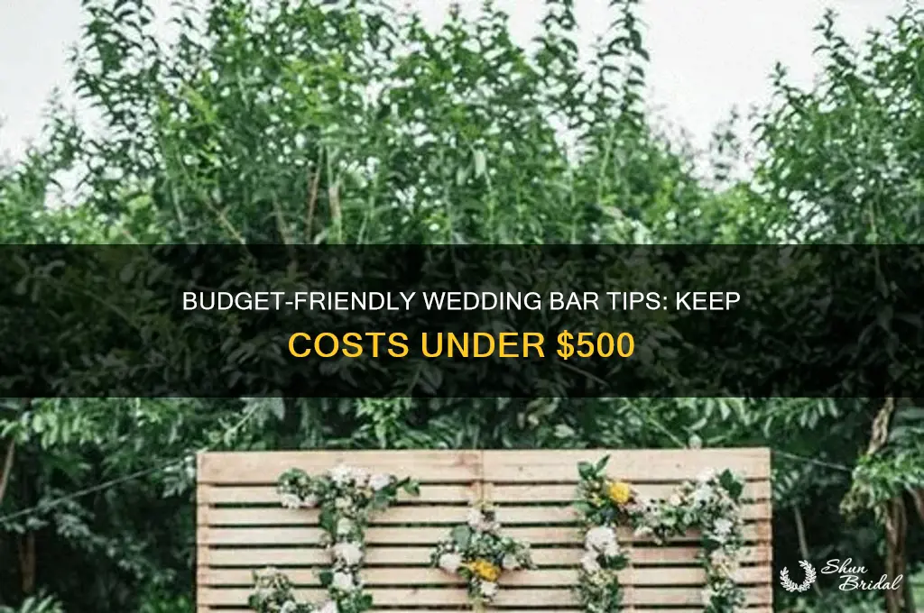 how to keep your wedding bar under 500