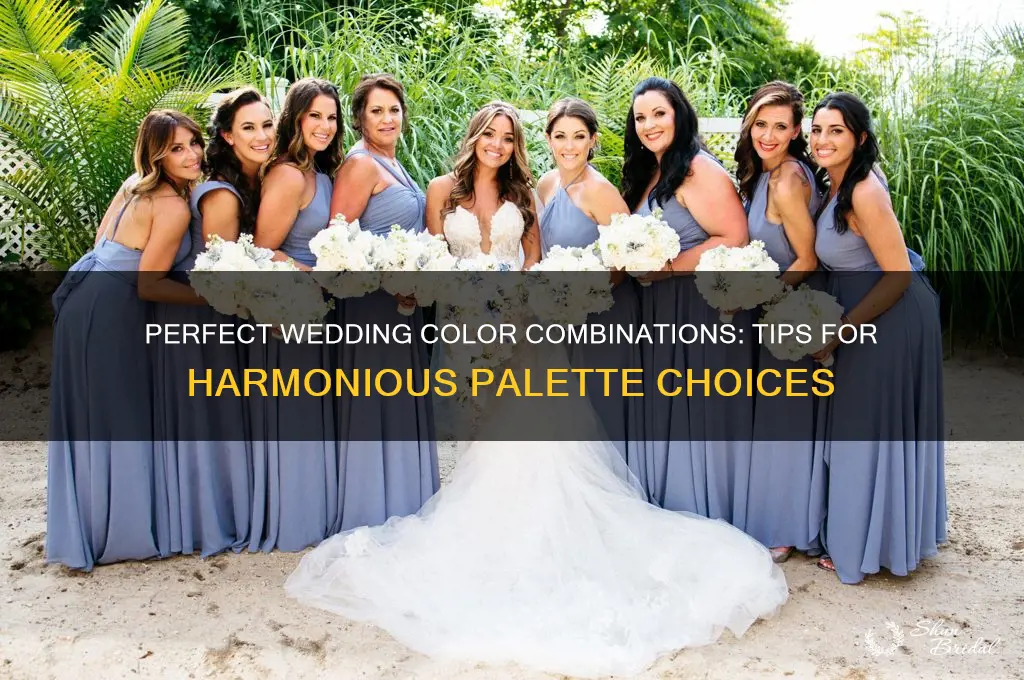 how to know what colors go together for a wedding