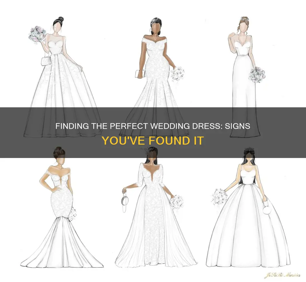 how to know you picked the right wedding dress