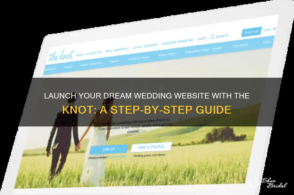 how to launch the knot wedding website