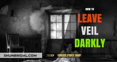 Escaping the Veil Darkly: A Guide to Finding Light and Clarity