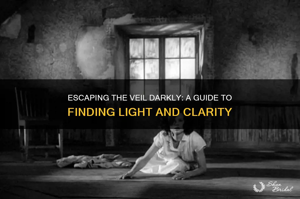how to leave veil darkly