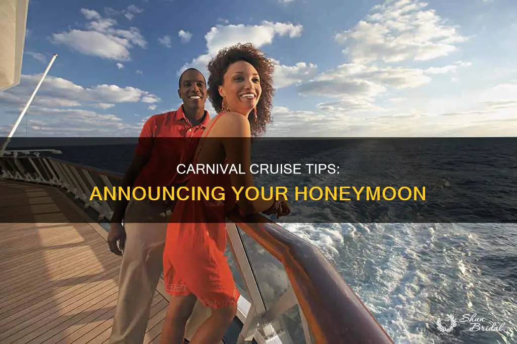 how to let carnival know honeymoon on cruise