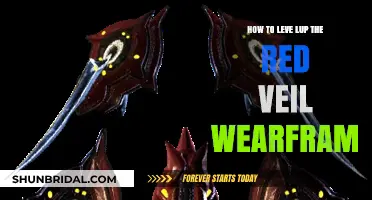 Mastering the Red Veil: A Comprehensive Guide to Leveling Up in Warframe