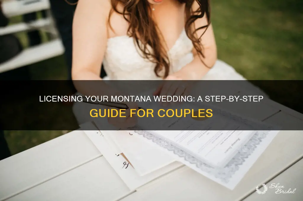 how to license wedding montana
