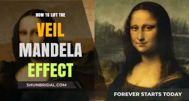 Unraveling the Mandela Effect: Techniques to Lift the Veil of Reality