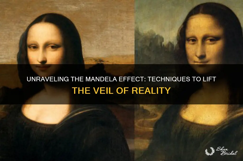 how to lift the veil mandela effect