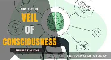 Unveiling Consciousness: A Guide to Exploring Your Inner Awareness