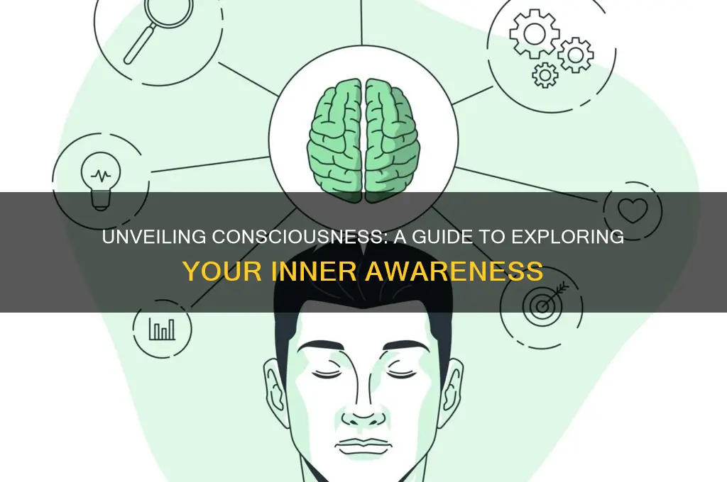 how to lift the veil of consciousness
