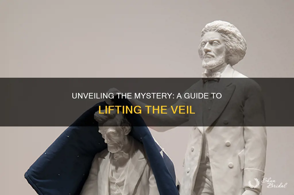 how to lift the veil