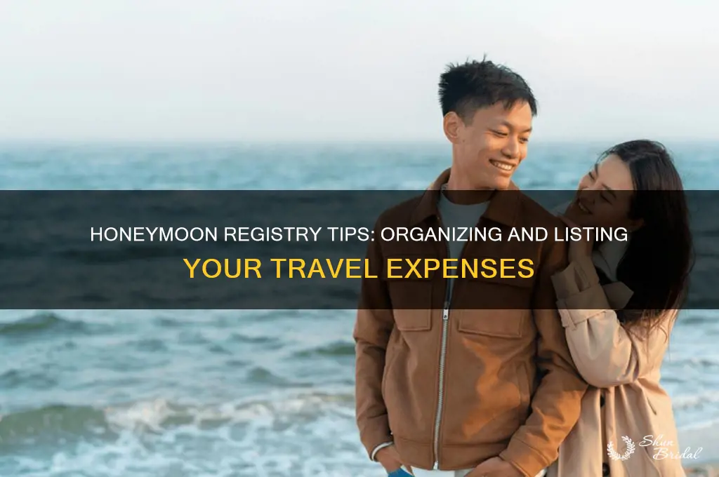 how to list travel expenses in honeymoon registry