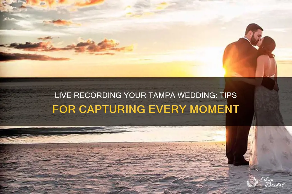 how to live record my wedding tampa