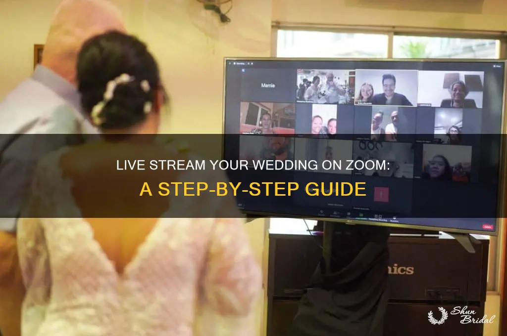 how to live stream a wedding on zoom