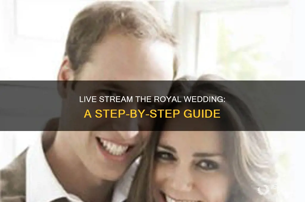 how to live stream royal wedding