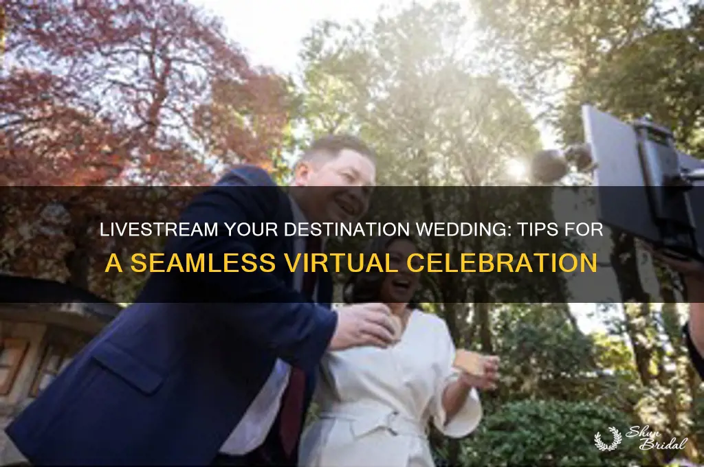 how to livestream a destination wedding