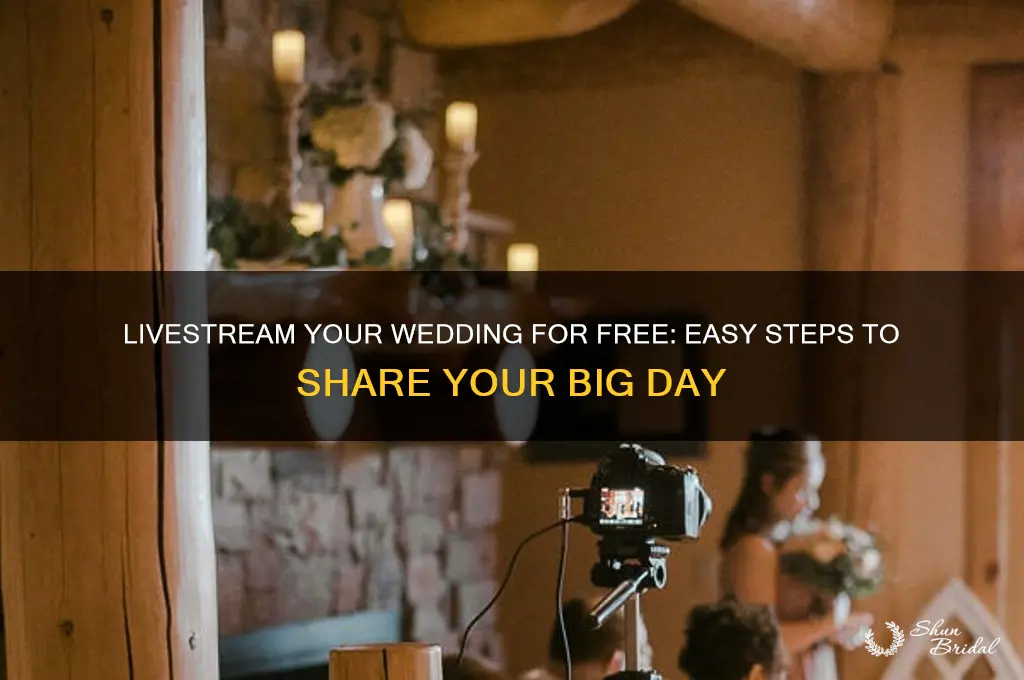 how to livestream a wedding for free