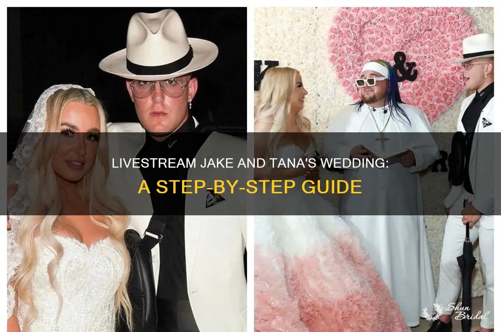 how to livestream jake and tanas wedding