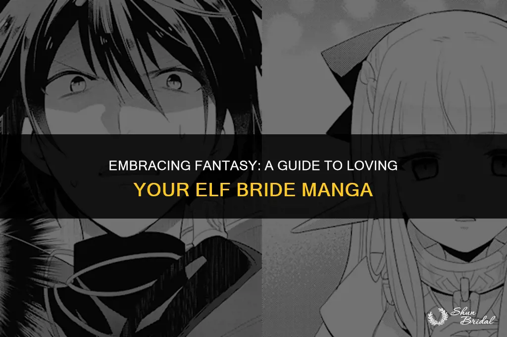 how to love your elf bride manga