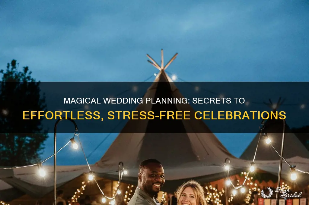 how to magic bullets wedding