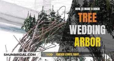 Creating a Birch Tree Wedding Arbor: A Step-by-Step Guide